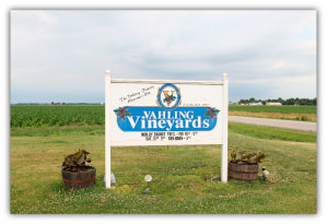 lake-shelbyville-illinois-shelby-county-il-vineyards-wineries-winery-tours-vahling-vineyards